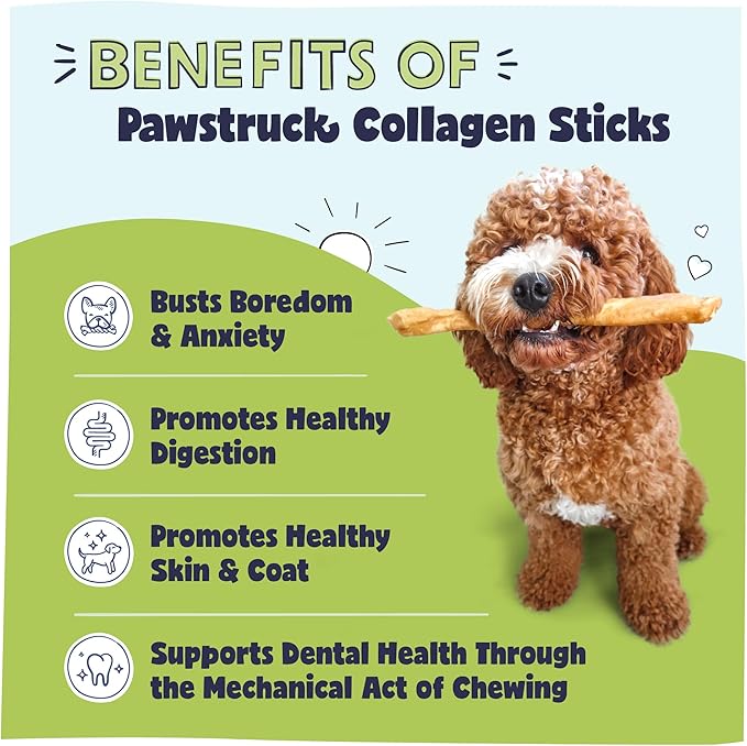 Pawstruck Natural Large 12" Beef Collagen Sticks for Dogs  Long-Lasting Rawhide Alternative, High Protein Treats with Chondroitin & Glucosamine  5 Pack
