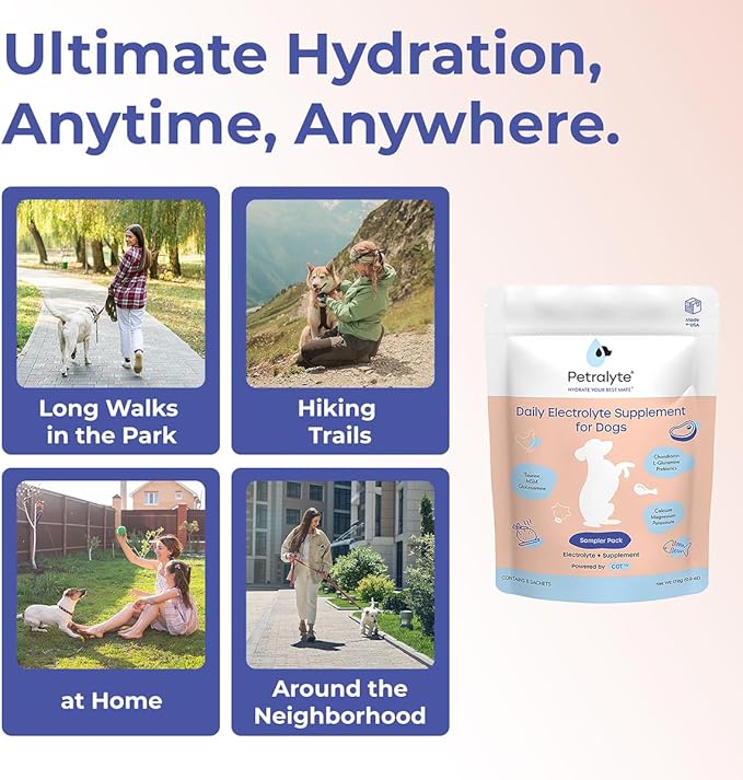 Petralyte Dog Electrolytes and Joint Supplement | Glucosamine, Chondroitin & MSM for Inflammation and Mobility Support | Electrolytes for Dogs with Prebiotics | Sample Pack | 8 Packets