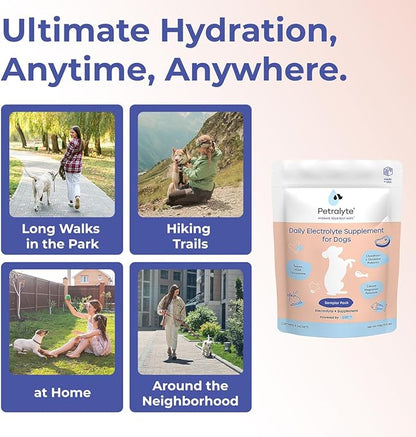 Petralyte Dog Electrolytes and Joint Supplement | Glucosamine, Chondroitin & MSM for Inflammation and Mobility Support | Electrolytes for Dogs with Prebiotics | Sample Pack | 8 Packets