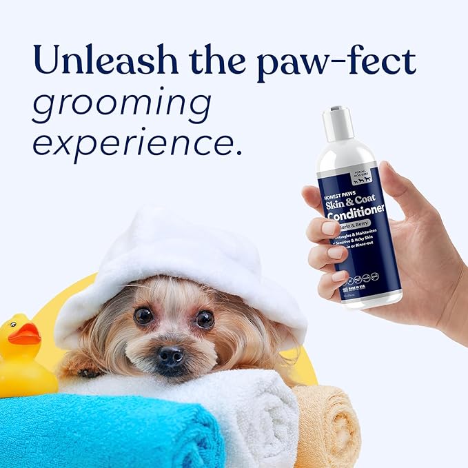 Honest Paws Dog Conditioner - Detangle & Moisturize - Premium Pet Conditioner for Itchy and Dry Skin - Hydrate Sensitive Skin - Shiny Coat Soft Hair Smooth Fur - Mandarin & Berry - 8oz