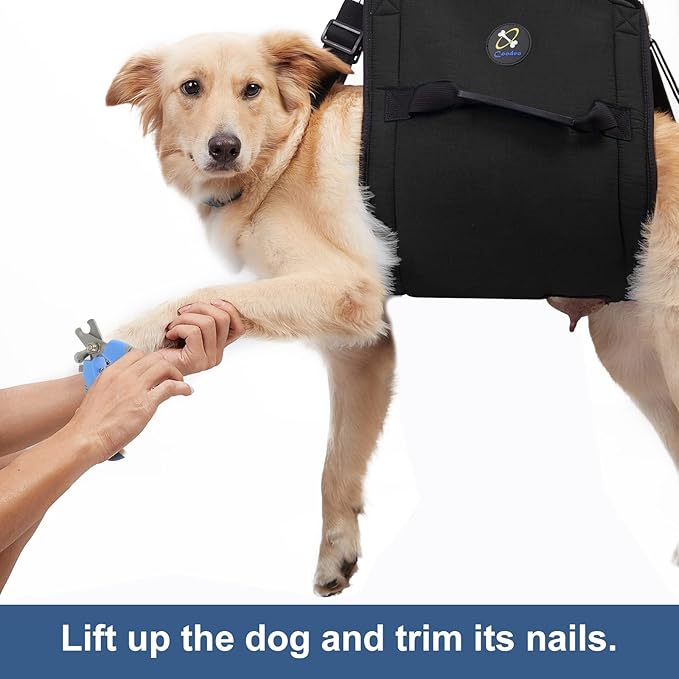 Dog Carry Sling, Emergency Backpack Pet Legs Support & Rehabilitation Dog Lift Harness for Nail Trimming, Dog Carrier for Senior Dogs Joint Injuries, Arthritis, Up and Down Stairs(L, Black)