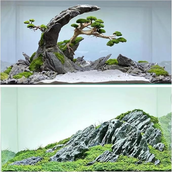 kecilke Seiryu Stones Aquarium Rocks Hardscape Stone for Aquariums, Fish Tanks, Bonsai, Terrariums, Wargaming Dioramas, Indoor or Outdoor Gardens(20lb 2-8 Inch)