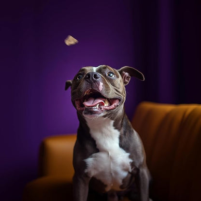 King Lou Pets - Lamb Hearts for Dogs and Cats - USA-Made Freeze Dried Lamb Dog Treats - Taurine, Zinc, and Iron - 1lb Prior to Freeze-Drying