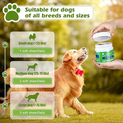 Advanced Hip and Joint Supplements for Dogs Joint Pain Relief with Glucosamine, Chondroitin, MSM, Vitamins C, 90 Soft Chews, Chicken Flavor