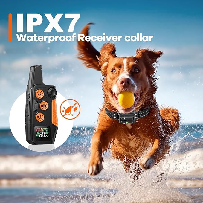 Dog Shock Collar - [2025 Newly Released] 3300Ft Dog Training Collar with Remote for Small Medium Large Dogs, IPX7 Waterproof E Collar for Dogs Training Rechargeable with Unique Shock-Lock