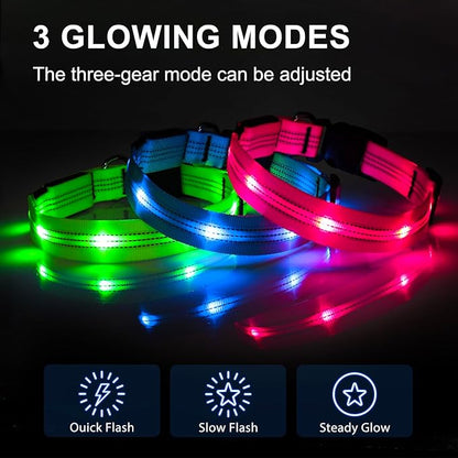 BSEEN Light Up Dog Collars - Glowing LED Dog Collar, Reflective Puppy Collar, Adjustable Lighted Dog Collar, Rechargeable Pet Collar for Night Walking (Blue-II, Small)