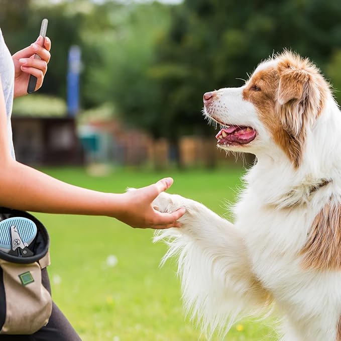 Yaomiao Pet Grooming Brush Kit, Includes 9 Pcs Self Cleaning Slicker, Dog Brush Shedding and Flea Comb, Nail Clippers and File, with Adjustable Strap Scissors, Bright Color