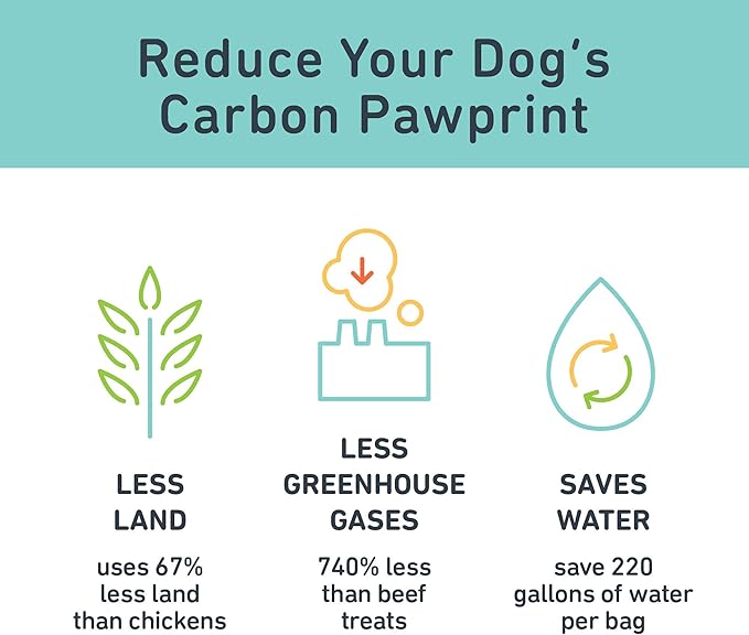 Jiminy's Original Cricket Cookie Dog Treat, Hypoallergenic, 5oz, Peanut Butter & Pumpkin (Pack of 1)