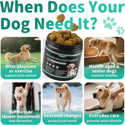 Dog Hip and Joint Supplement, 15-in-1 Advanced Glucosamine for Dogs with Chondroitin, MSM, New Zealand GLM, Pea, Omega 3 - Beef Flavor - 90 Soft Chews, Fits All Breeds and Sizes
