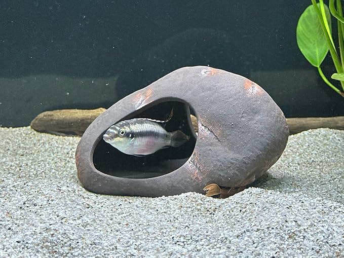 Plecoceramics Cichlid Stone Decoration - Aquarium cave for Cichlids, Betta, Small Fish - Fish Tank Hideway Decor - Betta Toys Hideout Stones House (Magma Stone Large)