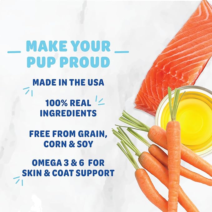 Shameless Pets Dental Treats for Dogs, Carrate Chomp (32 Sticks) - Dental Sticks with Skin & Coat Support for Teeth Cleaning & Fresh Breath - Dog Bones Dental Chews Free from Grain, Corn & Soy