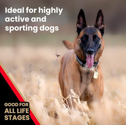 VICTOR Super Premium Dog Food  High Energy Dry Dog Food for Active Dogs  Gluten Free Dog Food with Beef and Chicken Meal Proteins for Sporting Dogs  All Breeds and All Life Stages, 5 lb