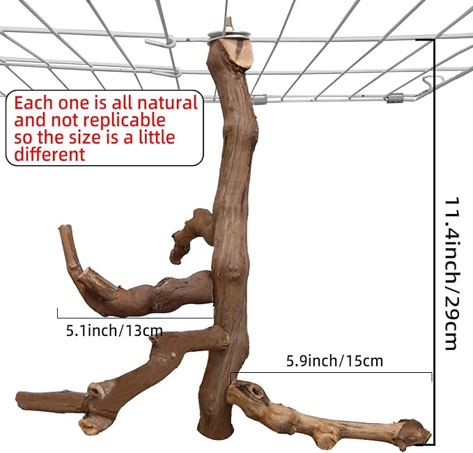 Bird Perch Stand Natural Parrot Perch for Cage Parakeet Climbing Platform Branches Swing Toy Cage Accessories for Cockatiels Lovebird Finches Canaries Budgie