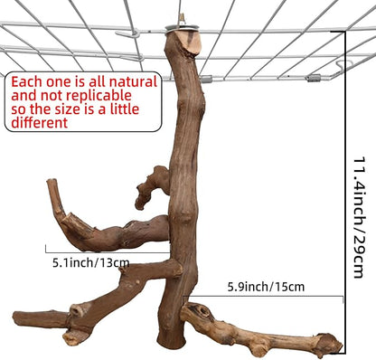 Bird Perch Stand Natural Parrot Perch for Cage Parakeet Climbing Platform Branches Swing Toy Cage Accessories for Cockatiels Lovebird Finches Canaries Budgie