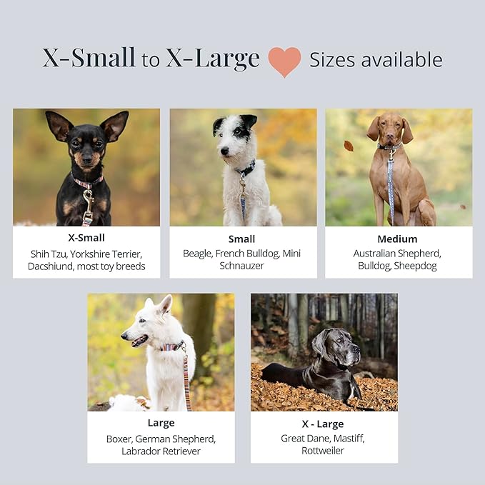 Lucky Love Dog Collars, Cute X-Small Dog Collars for Female Dogs, Part of Purchase Donated to Rescue, Caroline, Extra Small