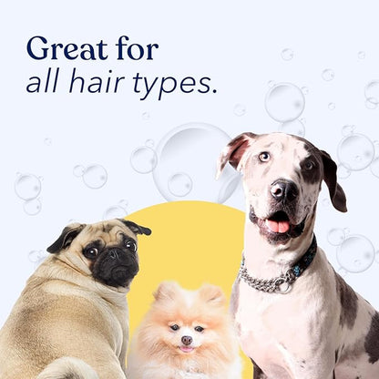 Honest Paws Dog Shampoo and Conditioner - Premium Dog Wash for Allergies and Dry, Itchy, Moisturizing for Sensitive Skin - Sulfate Free, Plant Based, All Natural - Oatmeal & Aloe -16 Fl Oz