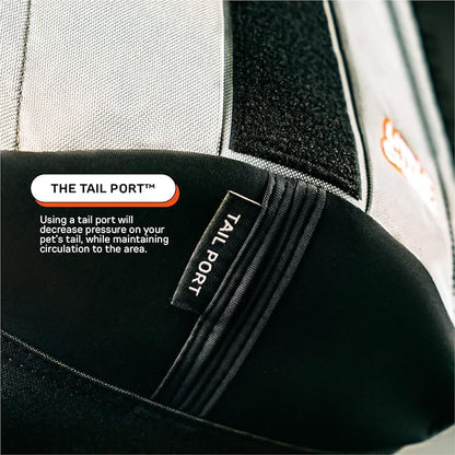 The Maxine One Small Dog Carrier Dog Backpack Carrier for Small Sized Breeds | Adjustable Front Facing Pet Carrier for Travel | Dog Hiking Backpack - Chonkcrete Gray