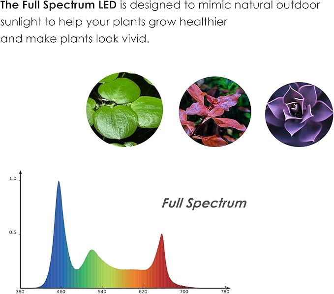 2 in 1 Full Spectrum Clip-On Aquarium Plant Grow Light, Freestanding Freshwater Fish Tank LED Light, 5Watts