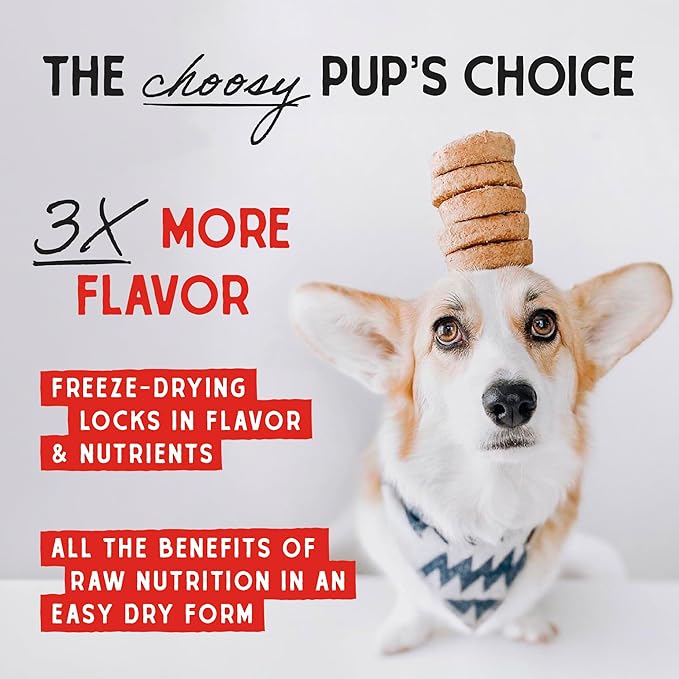 Stella & Chewy's Freeze Dried Raw Dinner Patties  Grain Free Dog Food, Protein Rich Duck Duck Goose Recipe  14 oz Bag