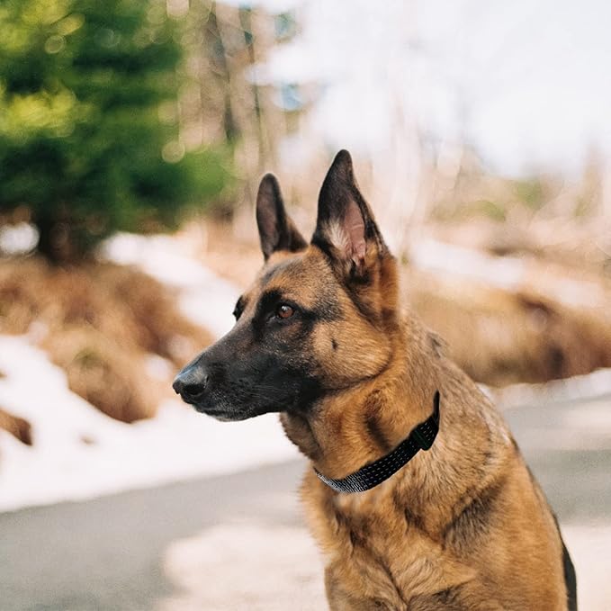 Martingale Collar for Training Dogs. Adjustable Reflective Dog Collars with Buckle- NO Pull-Prevents Slipping Out, for Medium Large XL Dogs. Helps with Strong pullers(M, Black)