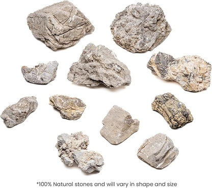 SubstrateSource Natural Stone for Aquarium, Terrarium, Paludarium, Reptile Enclosures - Set of Decorative Rocks for Landcapes, Aquascaping, Fish Tank Decor (Elephant Skin Stone, 5 Pounds, 2-5)