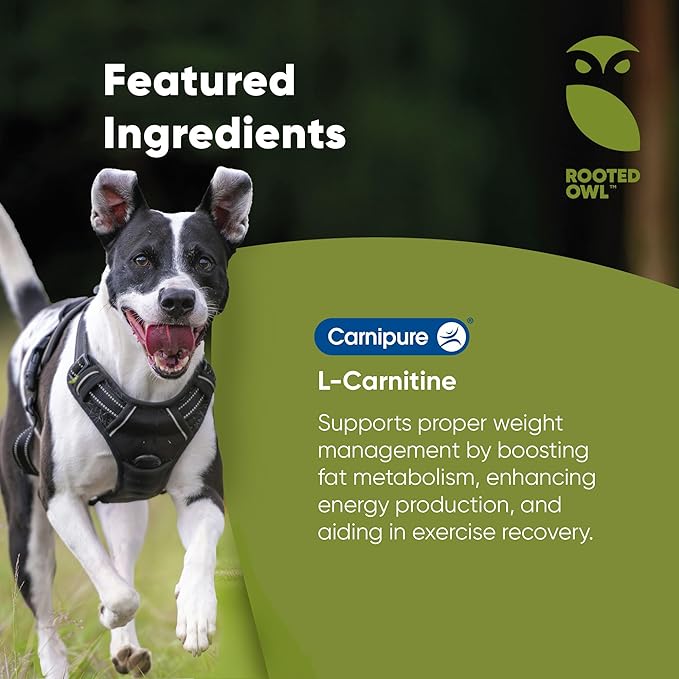 Rooted Owl Metabolism Support - L-Carnitine Supplement for Dogs and Cats to Support Healthy Weight - Dog and Cat Supplement - 60/ct