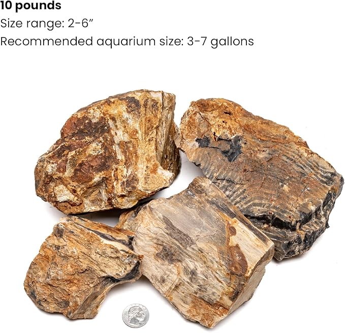 SubstrateSource Natural Stone for Aquarium, Terrarium, Paludarium, Reptile Enclosures - Set of Decorative Rocks for Landcapes, Aquascaping, Fish Tank Decor (Petrified Wood Stone, 10 Pounds, 2-6)