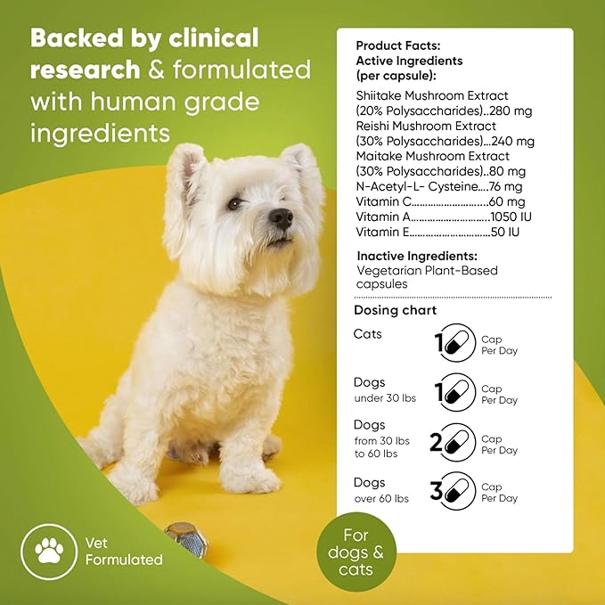 Rooted Owl Natural Immunity - Cat and Dog Immune Support - Triple Mushroom Supplement for Dogs & Cats with Reishi, Shiitake and Maitake Mushrooms - 60/ct Vegan Capsules