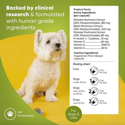 Rooted Owl Natural Immunity - Cat and Dog Immune Support - Triple Mushroom Supplement for Dogs & Cats with Reishi, Shiitake and Maitake Mushrooms - 60/ct Vegan Capsules