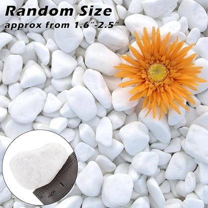 18.7 Lbs Natural River Rocks for Plants 1.6"-2.5" Small White Landscaping Garden Stones White Aquarium Gravel for Decorative Pebbles for Indoor Outdoor Planters
