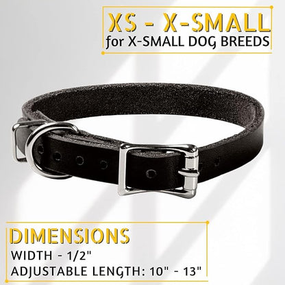 Adityna - Leather Dog Collar for Extra-Small Dogs and Puppies - Classic Style, Soft and Strong, Heavy Duty Black Leather Dog Collars for XSmall Dogs (XS - Neck: 10-13 inches, Black)