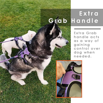Dog Harness and Leash Duo, No Pull Vest Harness with 5 Ft Leash, Soft padded Vest, No-Choke Oxford Pet Harness, Easy Control Handle and Adjustable Pet Harness (Blue, Medium)
