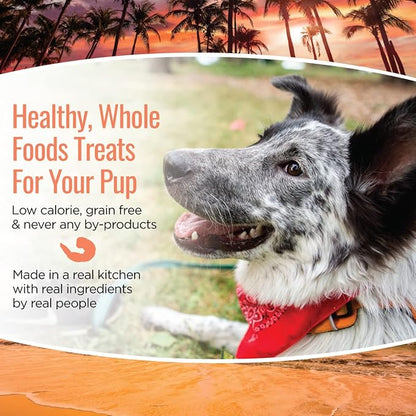 Smart Cookie All Natural Soft Dog Treats - Shrimp & Coconut - Healthy Dog Treats for Allergies, Sensitive Stomachs - Chewy, Grain Free, Human-Grade, Made in The USA - 5oz Bag, 1 Pack