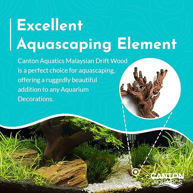 Malaysian Drift Wood Aquascaping Aquarium Decoration Large