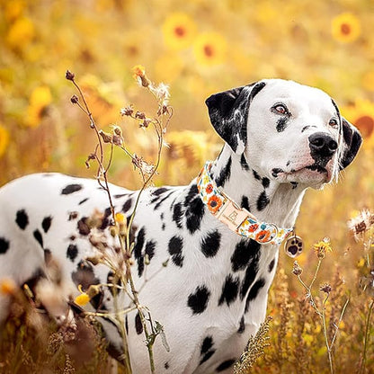 Lionheart glory Dog Collar Sunflower Print Dogs Collar Spring Summer Cute Collars Dog Girl or Boy Soft Durable Adjustable Dog Collars for Small Dogs Pet Gift