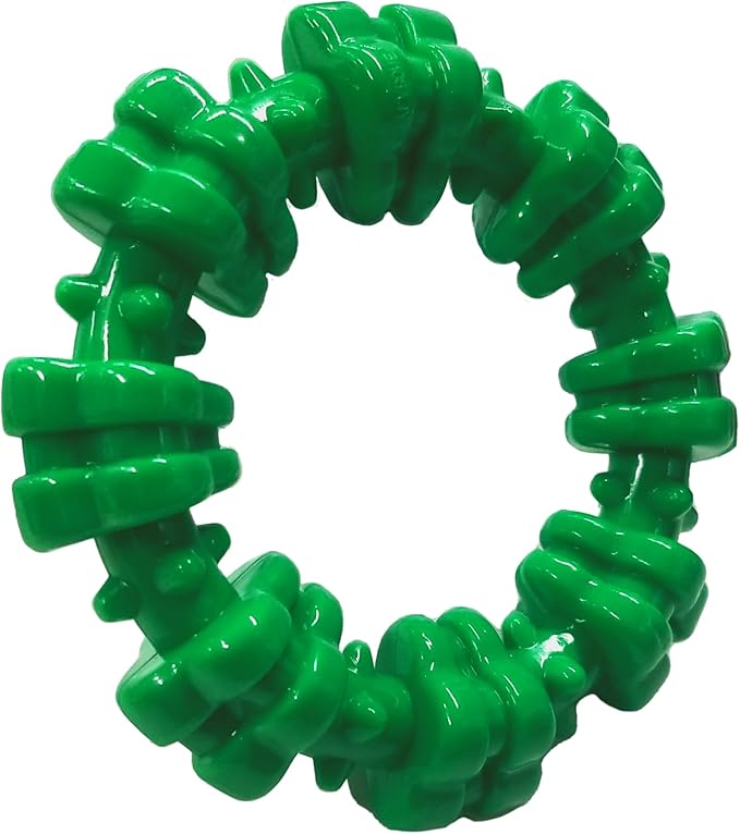 Nylabone Power Chew Textured Ring Dog Toy, Dog Chew Toys for Aggressive Chewers, Winter Green Flavor, Small/Regular - Up to 25 lbs. (1 Count)