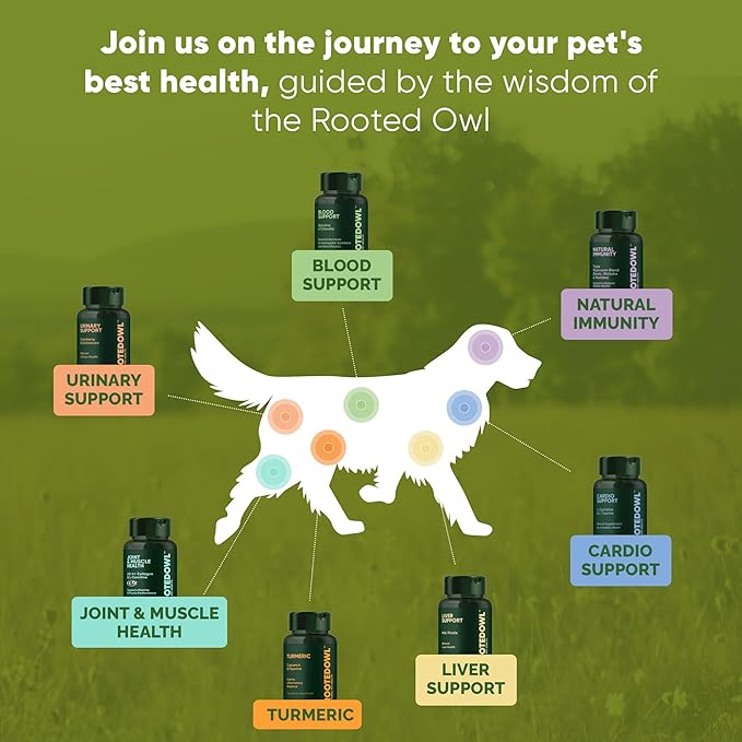 Rooted Owl Joint and Muscle Support for Large Dogs (Over 30 Lbs) - Supplement with UC-II Type II Collagen and L-Carnitine - 30 Count