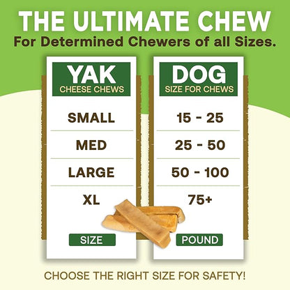 EcoKind Premium Gold Yak Cheese Himalayan Dog Chews, Healthy Dog Treats for Small Dogs, All Natural, High Protein Dog Chew, Cheese, Small - 16 Chews