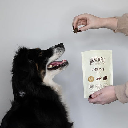 Hemp Well Thrive Chews for Dogs  Supports Hip, Joint, and Heart Health, Promotes Immune Support, Strengthens Skin and Coat, Organically Sourced  60 Count