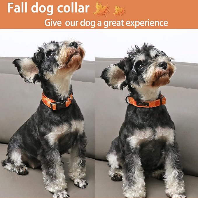 ARING PET Fall Dog Collar-Cute Orange Leaves Dog Collar for Small Dogs, Cotton Lightweight Dog Collars with Quick Release Buckle for Small Medium Large Dogs