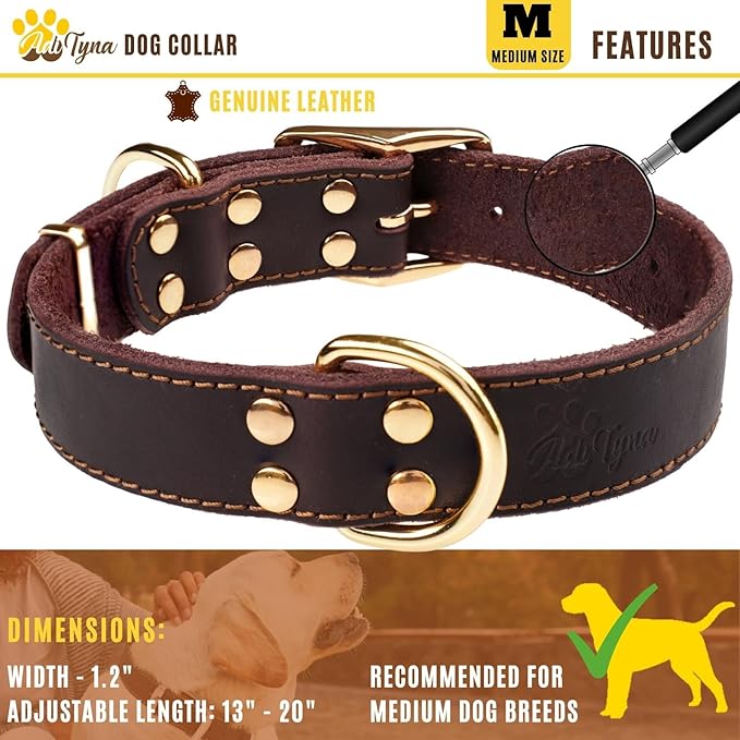 ADITYNA Heavy Duty Leather Dog Collar for Medium Dogs - Soft and Strong Leather Dog Collar for Medium Dog Breeds (Medium: Fit 13" - 20" Neck, Brown - Gold Colored Buckle)
