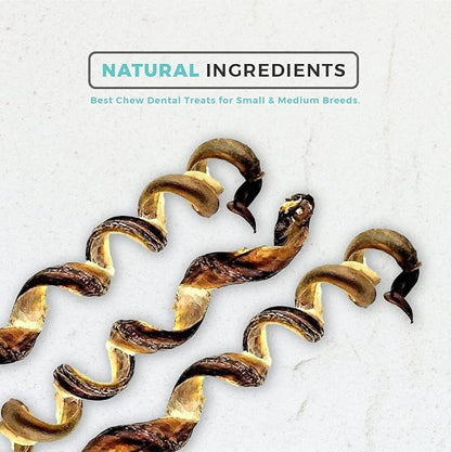 Dog Nip! 6-Inch Pork Spring Bully Sticks (12 Pack) for Dogs or Puppies - All Natural Porky Spring Bully Pizzle Bone - Best Chew Dental Treats for Small and Medium Breeds