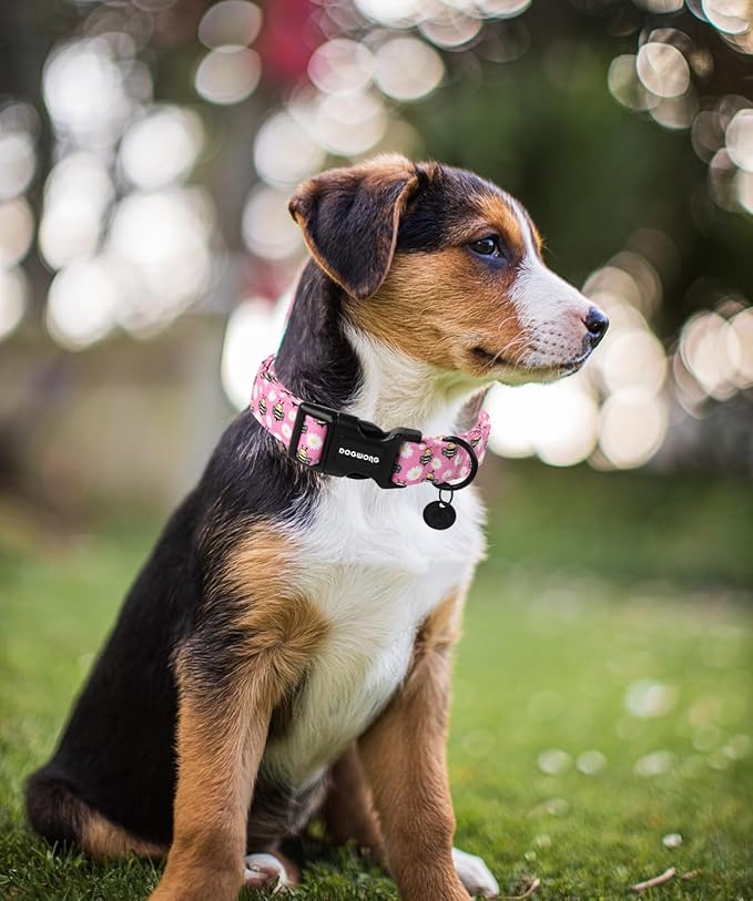 DOGWONG Pink Dog Collar, Female Dog Collar Durable Soft Natural Fabric Pet Girl Dog Collar Cute Daisy Puppy Necklace for Small Medium Large Dog