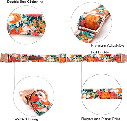Lionheart glory Premium Floral Dog Collars Spring Dog Collar, Adjustable Heavy Duty Girl Dog Collar for X-Small Dogs