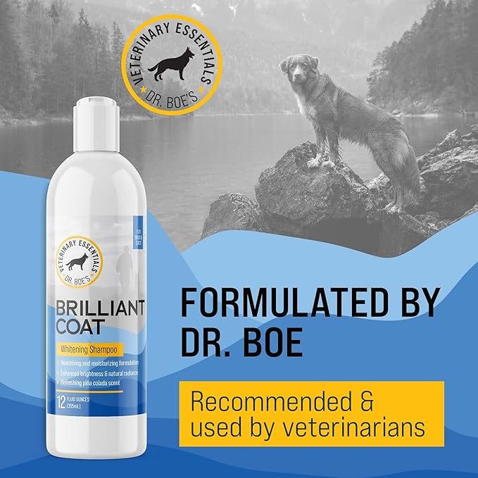 Dr. Boe's Veterinary Essentials BrilliantCoat Whitening Shampoo & Conditioner for Dogs & Cats  with Colloidal Oatmeal, Piña Colada Scent - Brightens & Hydrates Coat, Moisturizes Skin - 12 Fl Oz.
