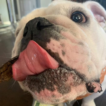 Tail Mix  Dog Treats Made in USA Only  All Natural Beef Bites  1 Ingredient Grain Free Assortment  Beef Lung, Trachea and Spleen  Dog Treats for Training, 8 Ounces