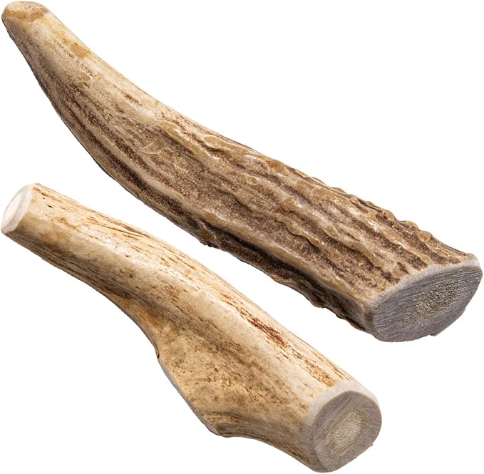 Snatchers Whole Elk Antlers for Mild to Aggressive Chewers  Durable, Naturally Shed Antlers for Dogs Processed in the USA with No Additives  Vitamin-Rich Dog Treats for Fun & Health (Medium 1 Count)