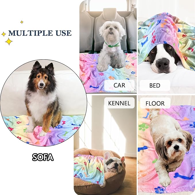 Dog Blanket,Super Soft Fluffy Premium Fleece Pet Puppy Blanket for Large Medium Dog Cat Mat Cover for Bed Couch,Cute Print, Colorful,(41 x 31 Inch)