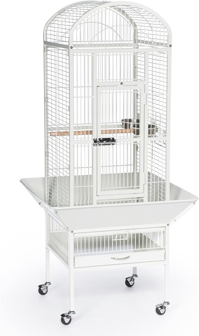 Prevue Pet Products 34512 Dometop Bird Cage, Small, Chalk White