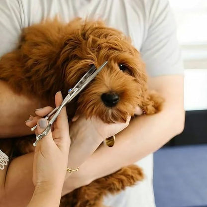 7" 21-Teeth Chunkers Dog Grooming Scissors, Professional Texturizing Blending Thinning Shears Pets Hair Trimming Kit with Premium Steel & Ergonomic Handle for Comfortable Grooming